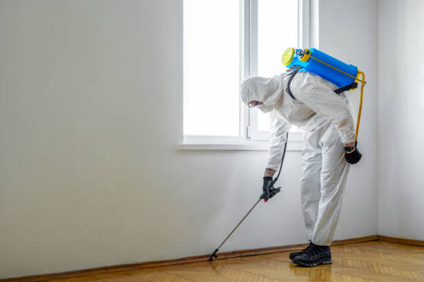 Best Emergency Pest Control  in Suffolk, VA