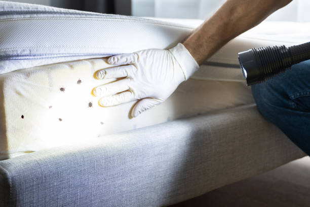 Best Commercial Pest Control Services  in Suffolk, VA