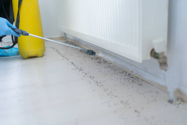 Best Pest Control Treatment  in Suffolk, VA