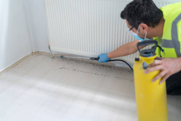 Trusted Suffolk, VA Pest Control Experts