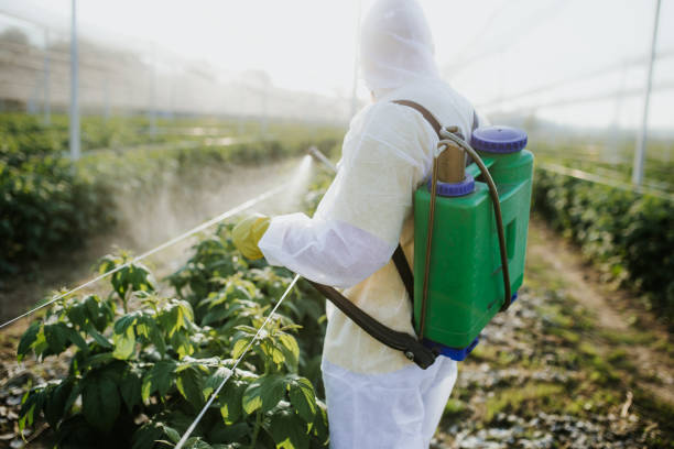Wildlife Control Services in Suffolk, VA